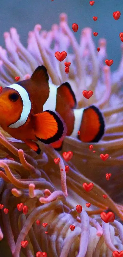 Clownfish swimming amidst colorful coral in an oceanic setting.