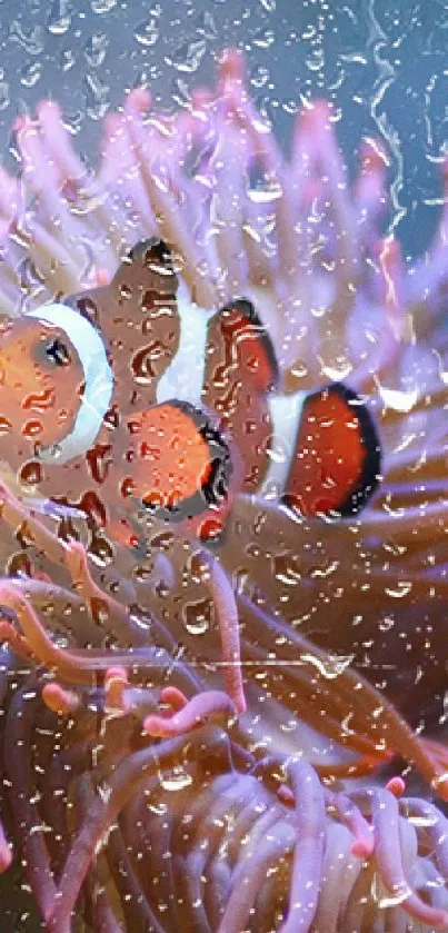 Clownfish nestled among colorful anemones in a vivid underwater scene.