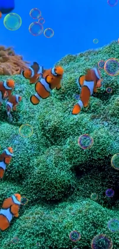 Clownfish swimming in vibrant coral reef with colorful bubbles.