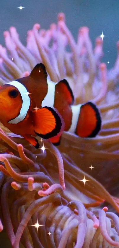 Clownfish nestled in vibrant coral reef.