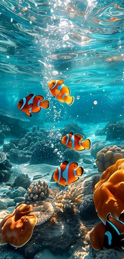 Clownfish swimming in vibrant coral reef underwater.