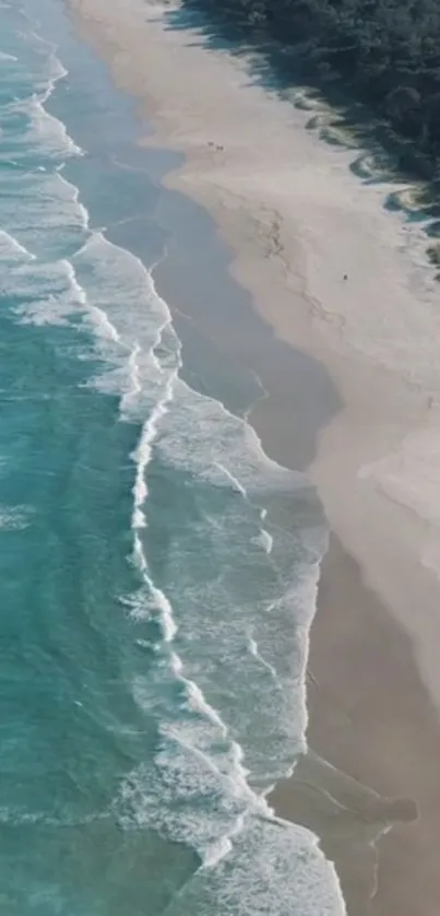 Aerial view of serene beach with gentle ocean waves and sandy shoreline.