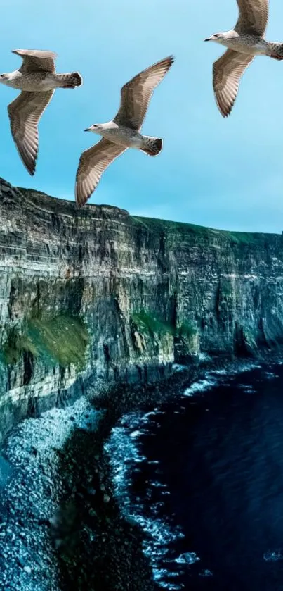 Seagulls fly over a rugged coastal cliff with a deep blue ocean below.