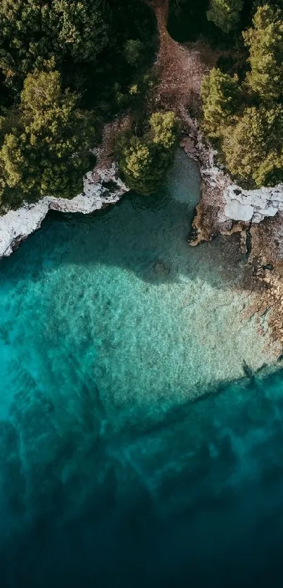 Aerial view of coastal forest with turquoise ocean waters.