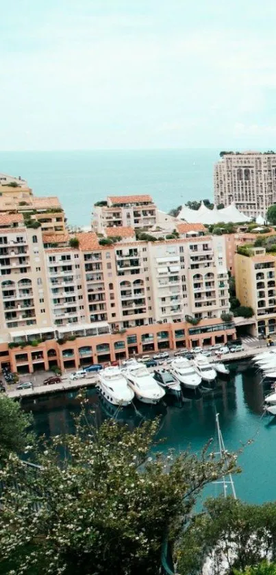 Vibrant coastal marina with yachts and urban cityscape.