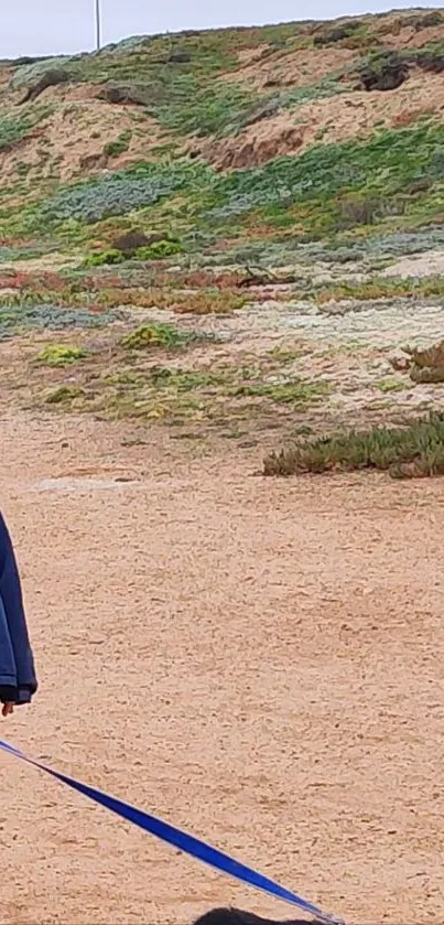 Man walking dog on a sandy beach path.