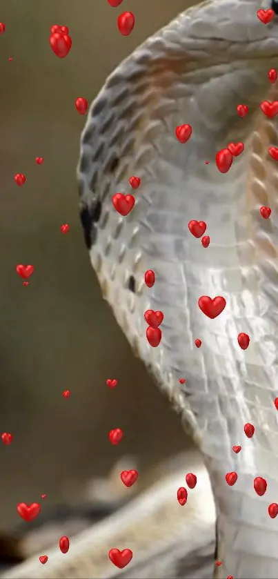 Majestic cobra with red hearts on a nature-inspired wallpaper.