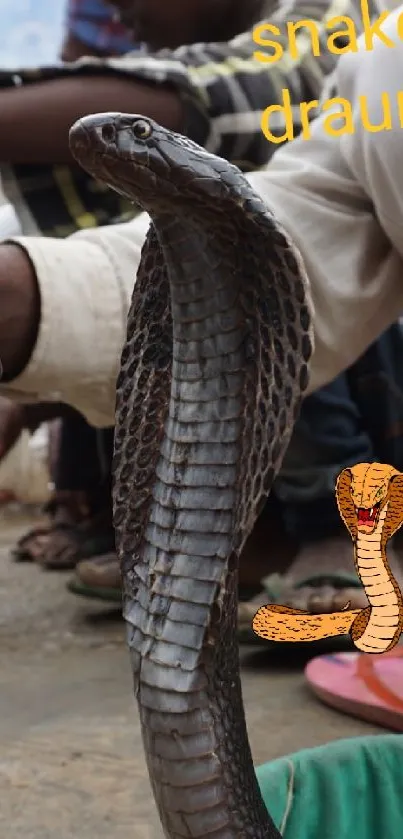 Live cobras handled by a snake charmer in a busy street market.