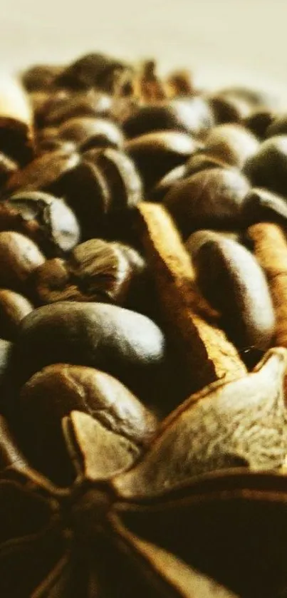 Mobile wallpaper with coffee beans and spices in warm tones.