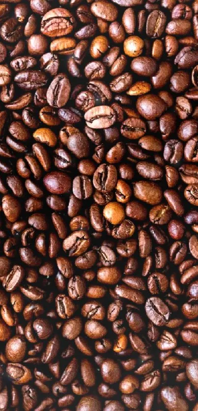 Close-up texture of roasted coffee beans.