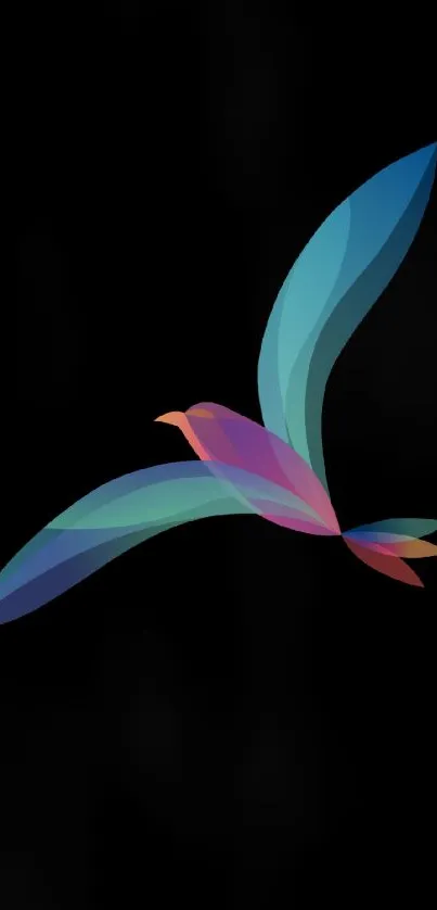 Colorful abstract bird illustration on a black background.