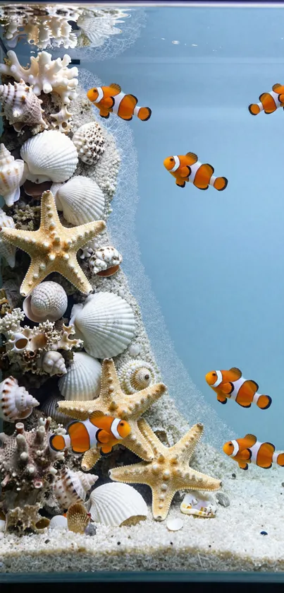 Clownfish swimming in a seashell-studded aquarium.