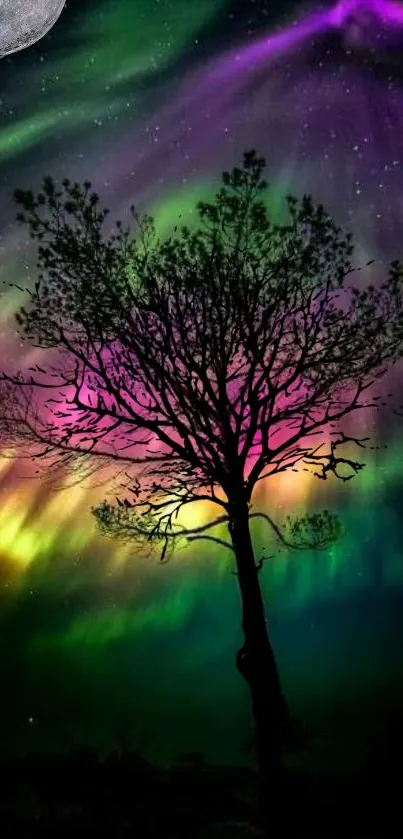 Silhouetted tree under vibrant aurora borealis with moon.