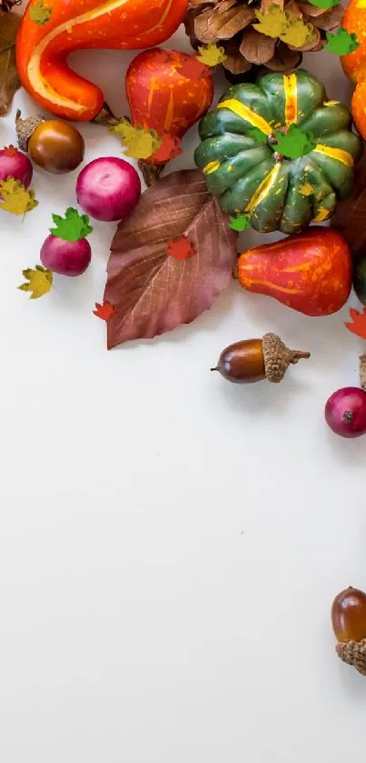 Vibrant autumnal wallpaper with pumpkins and leaves.