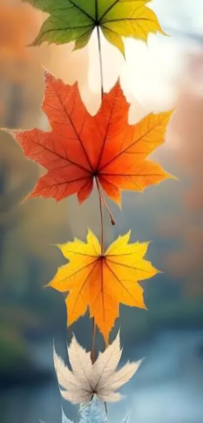 Colorful autumn leaves hanging in a row in a scenic nature background.