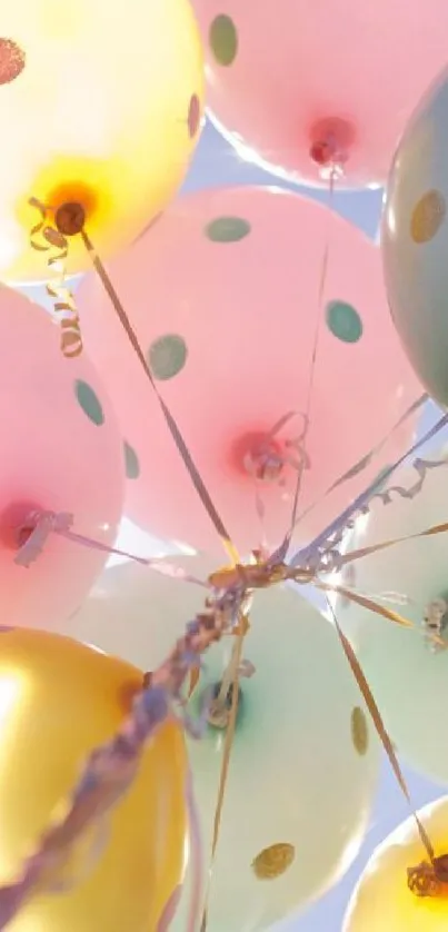 Pastel colored balloons float against a blue sky.