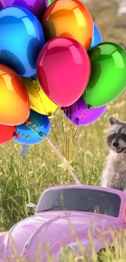 Raccoon in toy car with colorful balloons in a grassy field.