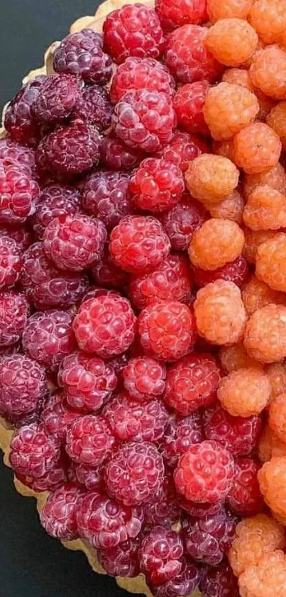 A vibrant berry tart wallpaper with red and orange raspberries on a black background.