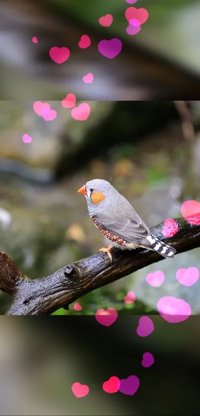 A colorful bird on a branch with pink hearts floating around.