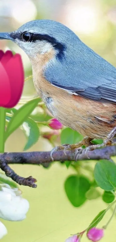 Colorful bird and tulip on a flowering branch wallpaper.