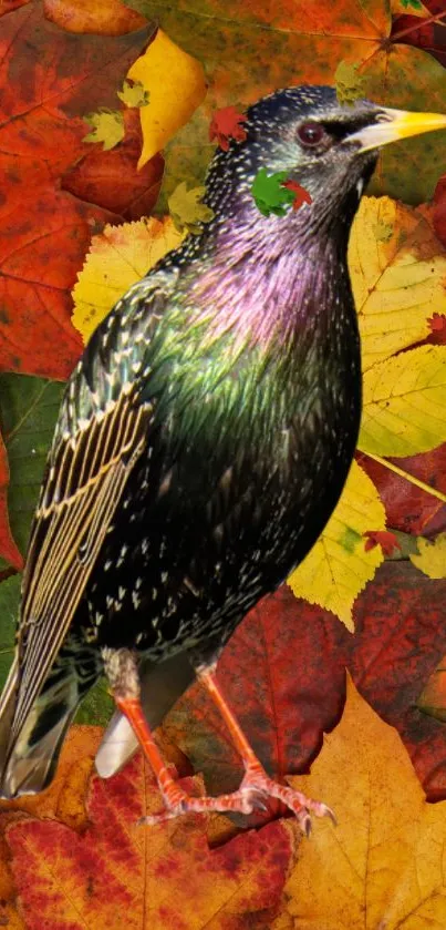 Vibrant bird among autumn leaves wallpaper.