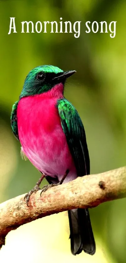 Colorful bird perched on a branch with green background.