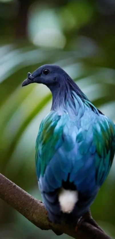 Colorful bird with vibrant feathers on a branch in lush green surroundings.