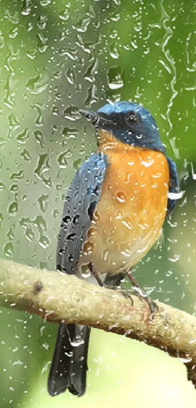 A vivid blue and orange bird perched on a branch in a green forest.