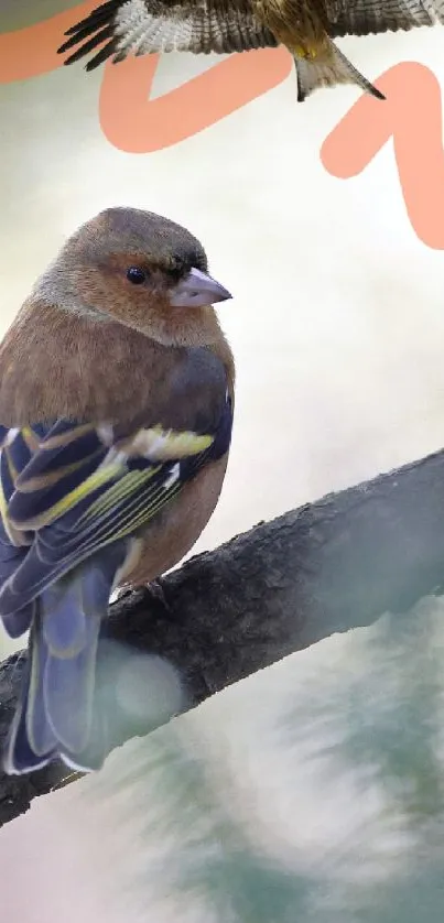 Colorful bird sitting on branch with soft background.