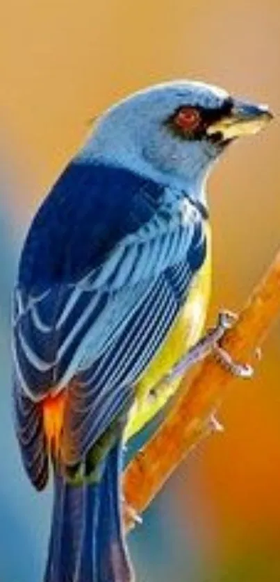 Colorful bird perched on a branch with blue feathers and vivid surroundings.