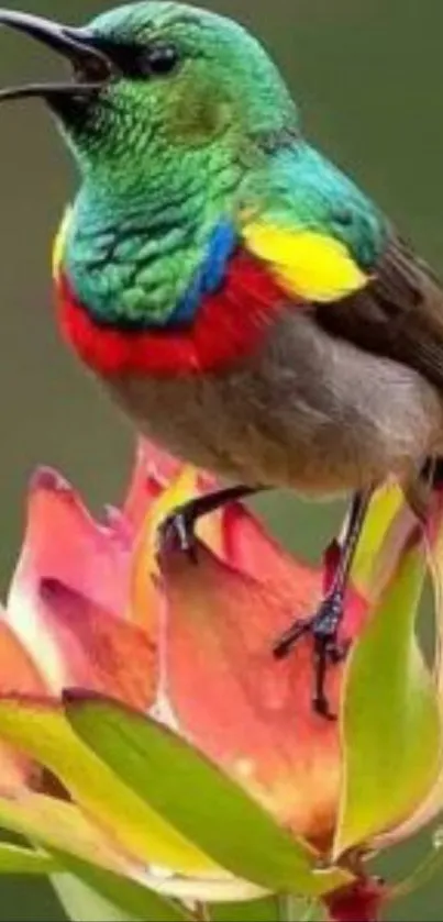 Colorful bird perched on a vibrant flower.