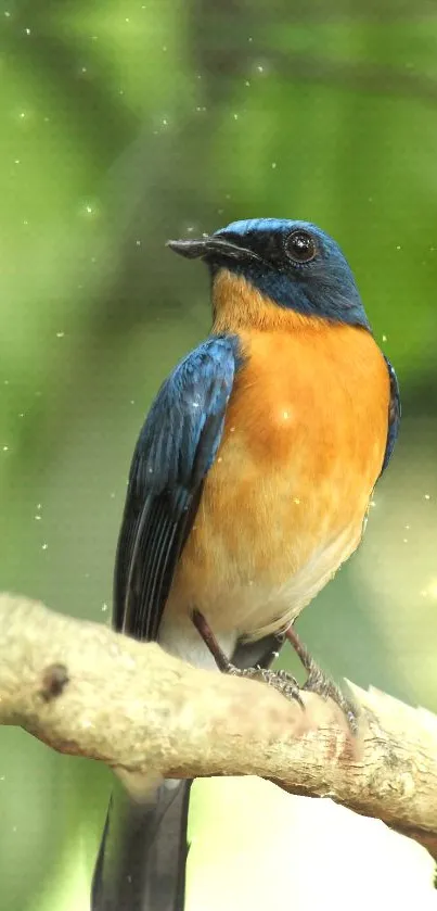 Vibrant bird perched on a branch with a green leafy background.