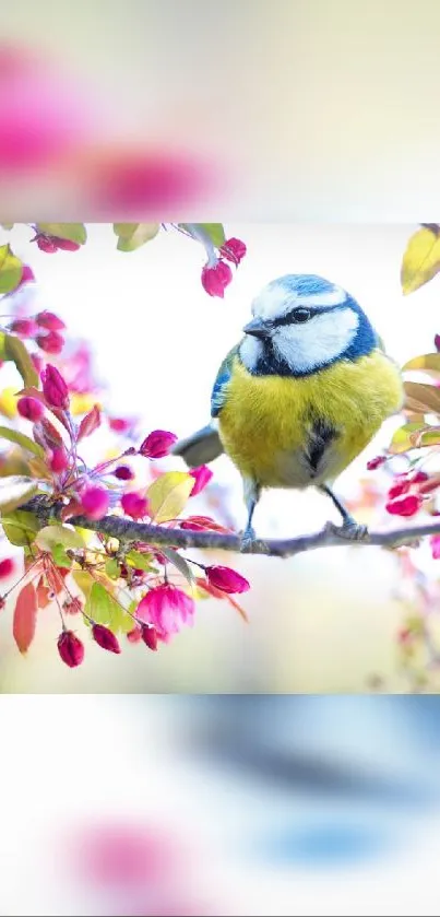 Beautiful bird perched on a branch with vibrant pink blossoms.