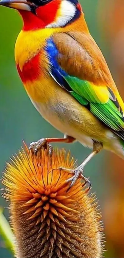 Colorful bird perched on a branch against nature background.