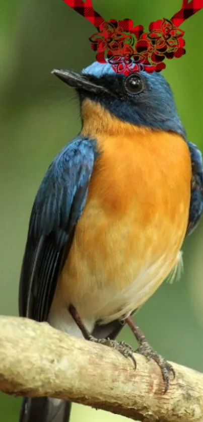 A colorful orange and blue bird perched on a branch against a green background.