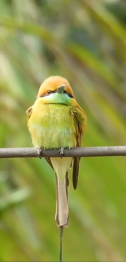 Vibrant green bird perched on branch in colorful nature setting.