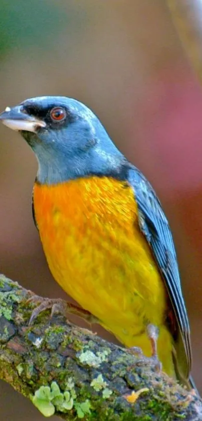 Vibrant bird perched on a branch with colorful plumage and natural background.