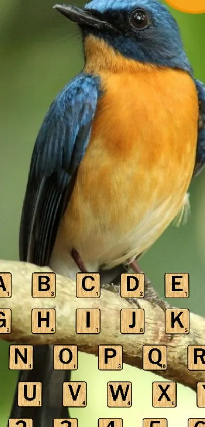 Blue and orange bird sits on a branch with alphabet overlay.