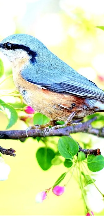 Colorful bird perched on a blooming spring branch with vibrant flowers.