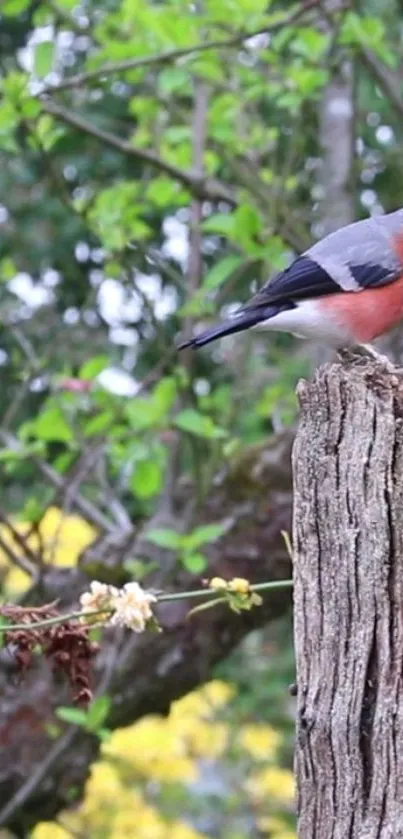 Vibrant bird perched on tree stump in lush green forest.