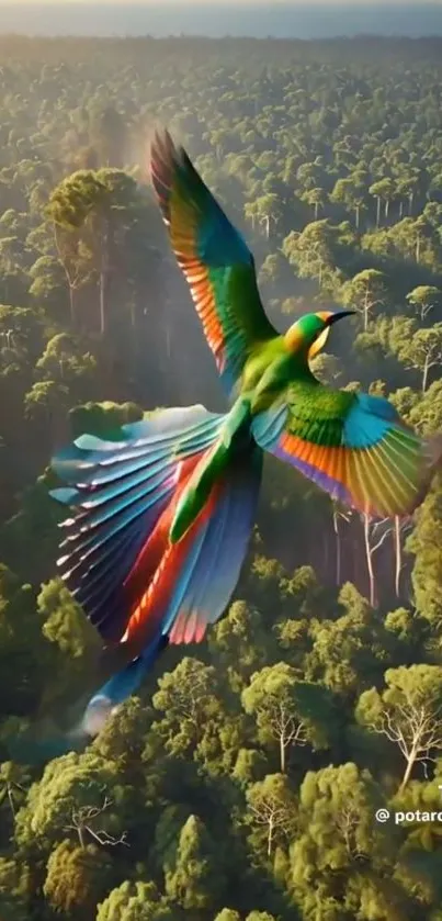 A vibrant bird soaring over a lush green forest.