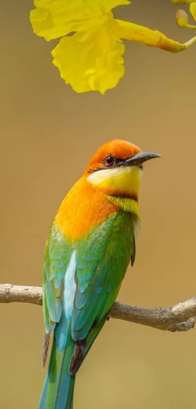 Colorful bird perched on branch with yellow flowers.