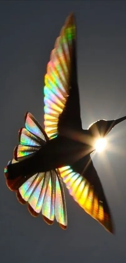 Vibrant bird with sunlit rainbow wings in flight against a dark sky.