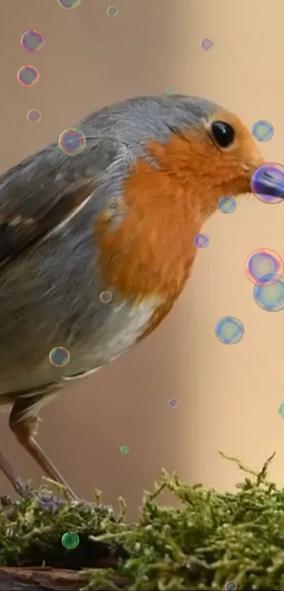 Robin on mossy branch with colorful bubbles.