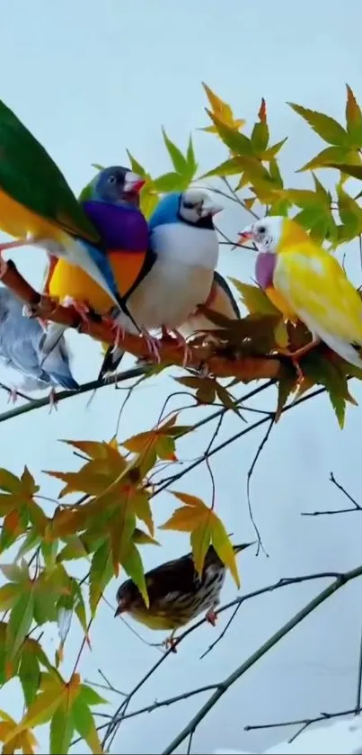 Colorful birds perched on an autumn branch with vibrant leaves.