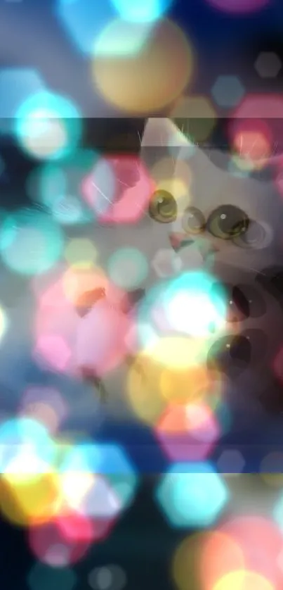 Whimsical cat with colorful bokeh lights overlay.