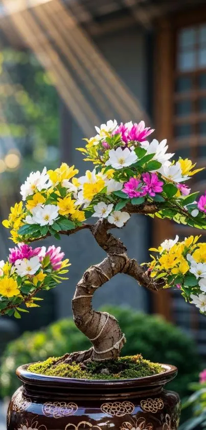 Vibrant bonsai tree with colorful flowers in sunlight.