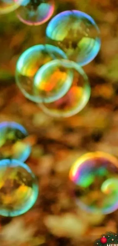 Colorful bubbles against autumn leaves background.