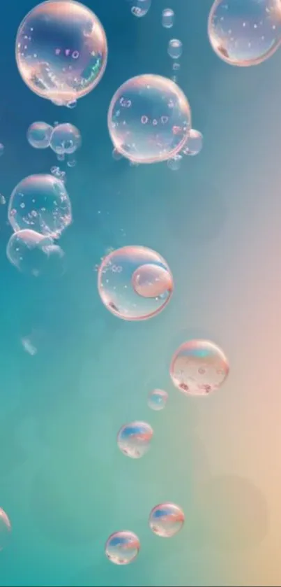 Colorful bubbles floating in a gradient background