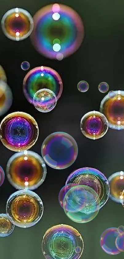 Vibrant colorful bubbles on a dark background create a mesmerizing, artistic wallpaper.